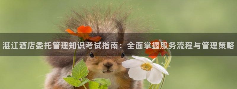 凯发就来凯发天生赢家一触即发