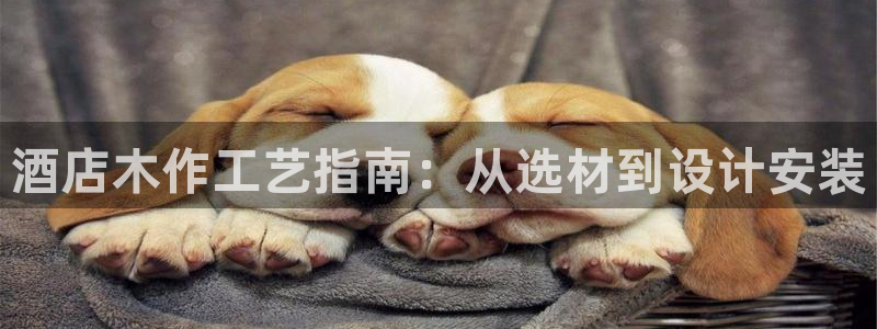 凯发k8官网备用网址