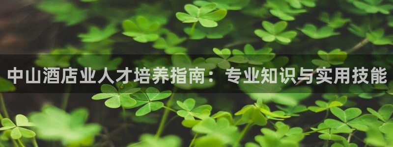 百家乐凯发k8