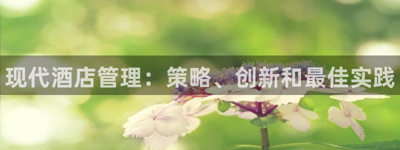 凯发国际官网