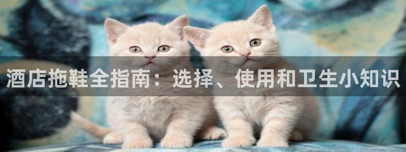 凯发真人游戏下注官方网站