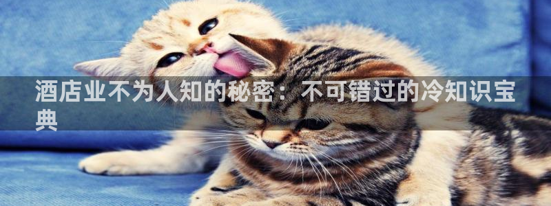 凯发k8全球最大的娱乐平台