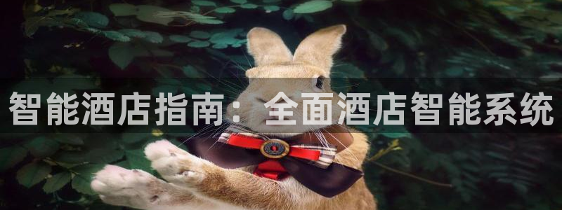 凯发正规官方网址