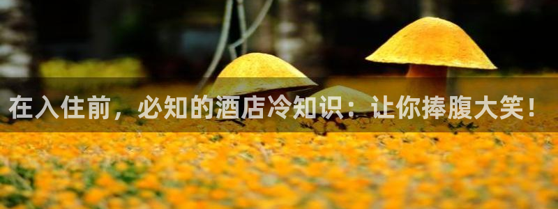 凯发移动版