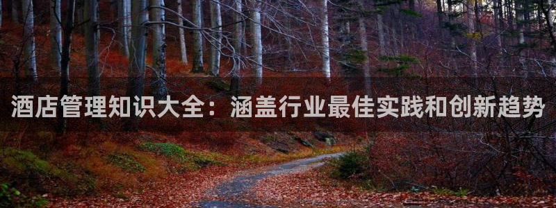 凯发k8国际首页