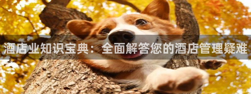 凯发k8天生赢家一触即发