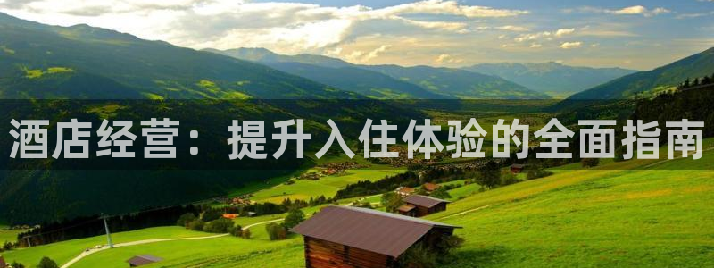 凯发网娱乐官网登录