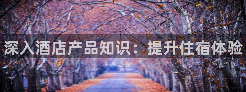 凯发真人k8