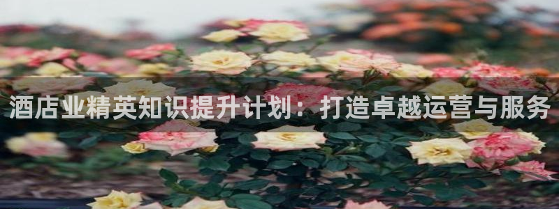 凯发国际官方网站